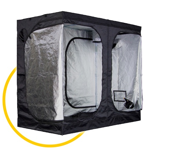 Mammoth Pro240L Tent
