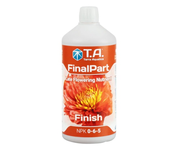 T.A. Final Part - 1L