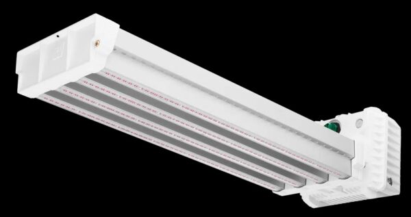 DLI Apex 800 Toplight LED