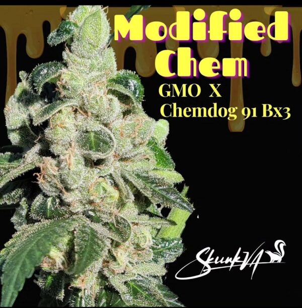 Modified Chem