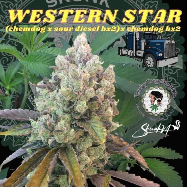 Western Star