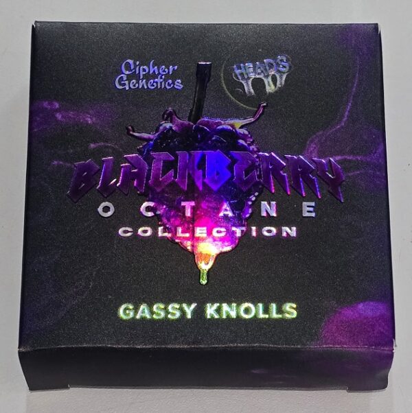Gassy Knolls - Blackberry Octane Collection