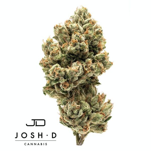 Josh D OG